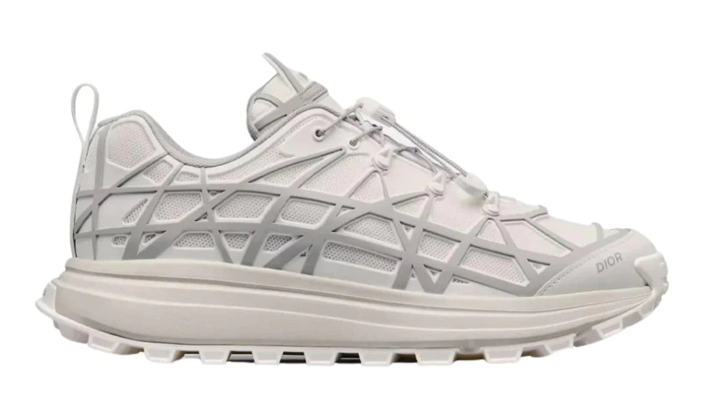 Dior B31 Runner White Grey
