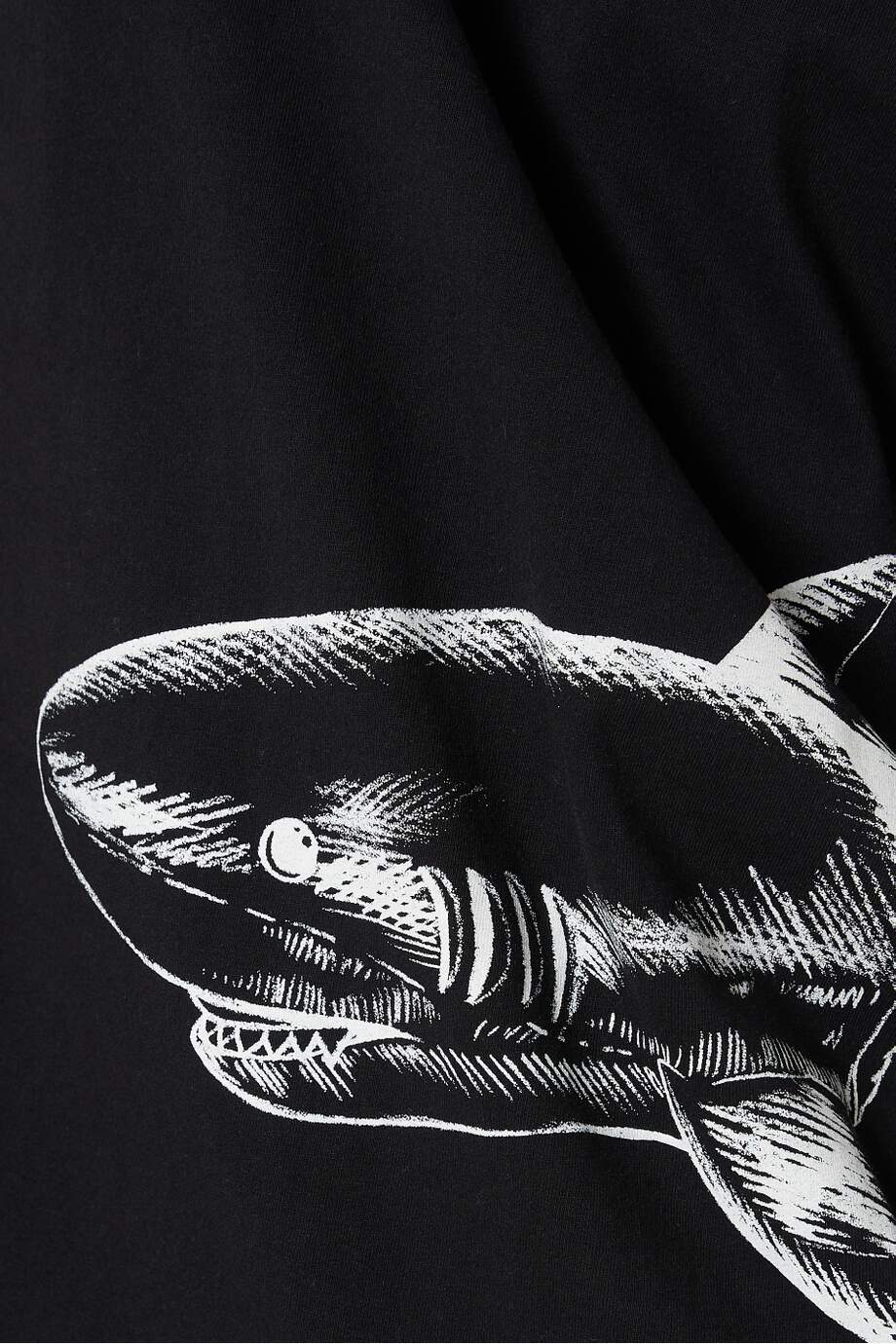 Palm Angels Broken Shark T-shirt in Cotton Jersey