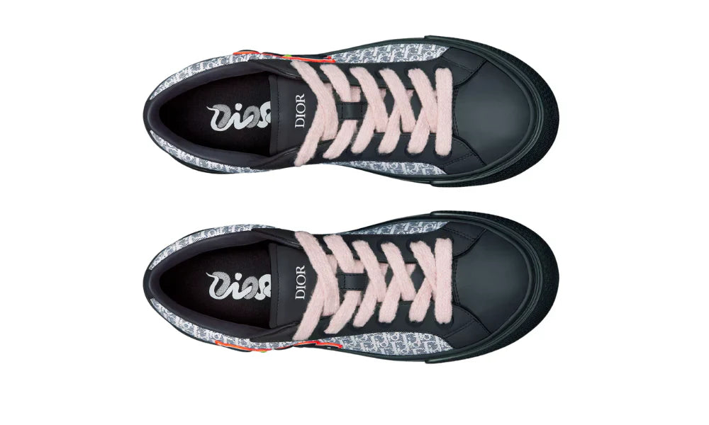Dior And Kaws B33 Spin "Limited And Numbered Edition"